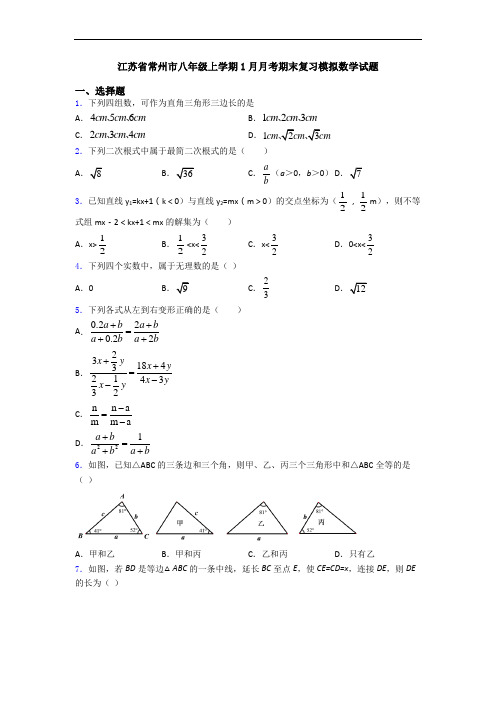 江苏省常州市八年级上学期1月月考期末复习模拟数学试题