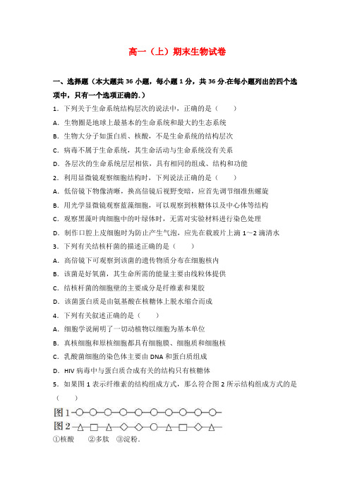 高一(上)期末生物试卷解析版