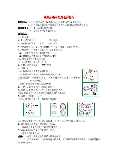 高中生物 减数分裂中染色体的行为变化教案 浙教版必修3