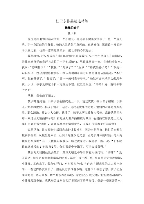 2020年高考语文二轮文学类文本专题复习--杜卫东作品精选精练