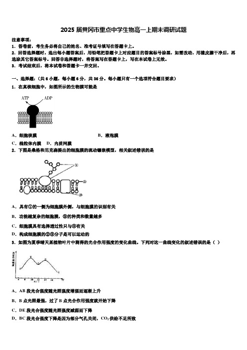 2025届黄冈市重点中学生物高一上期末调研试题含解析