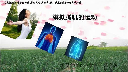 人体呼吸运动模拟实验说课