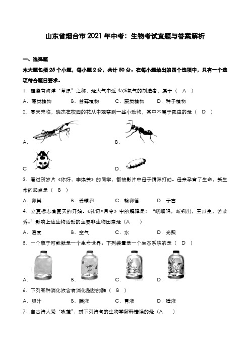 山东省烟台市2021年中考：生物考试真题与答案解析