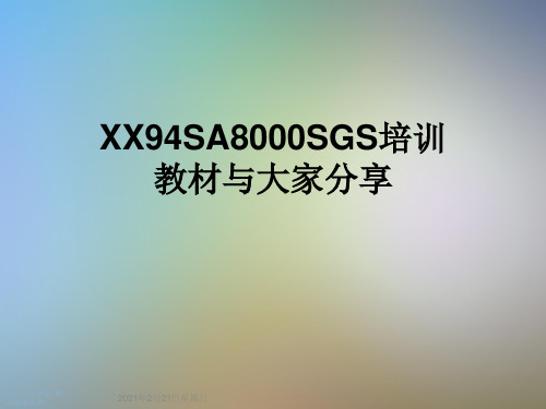 XX94SA8000SGS培训教材与大家分享