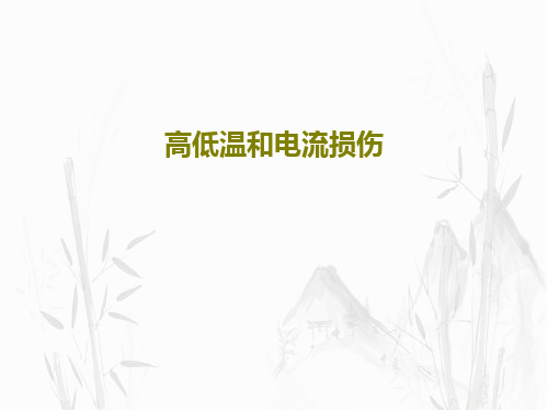 高低温和电流损伤共33页文档