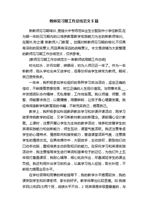 教师见习期工作总结范文5篇