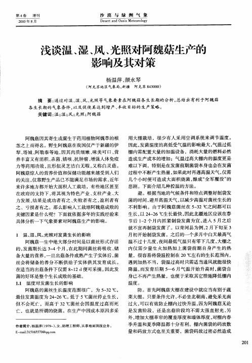 浅谈温、湿、风、光照对阿魏菇生产的影响及其对策