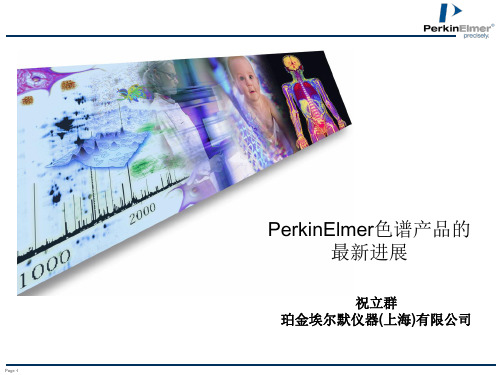 PerkinElmer气相色谱技术