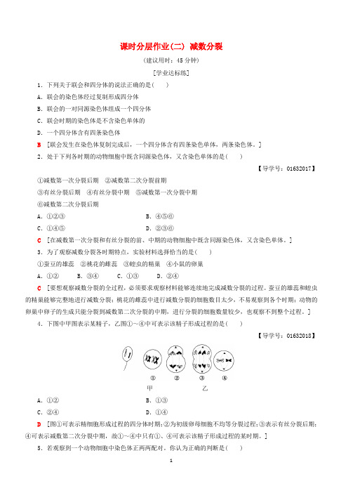 【苏教版】2018学年生物必修二课时分层作业2减数分裂含答案