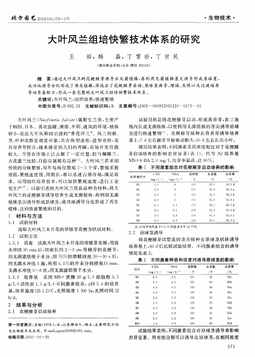 大叶风兰组培快繁技术体系的研究