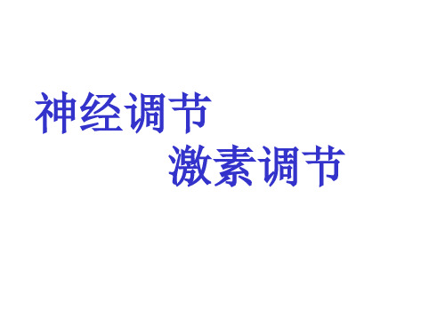 生物人教版七年级下册(新)第六章 人体生命活动的调节 课件(共25张PPT)