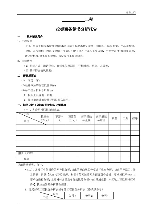 招标商务标书分析报告(模板)