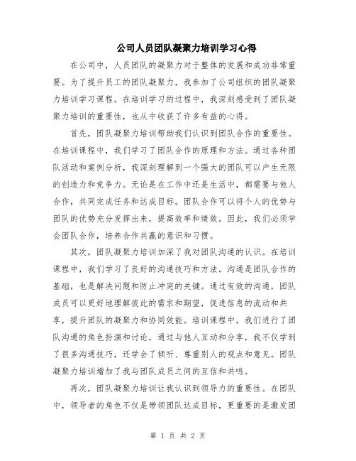 公司人员团队凝聚力培训学习心得