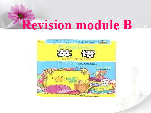 2013外研版七年级下册Revision-Module-B课件