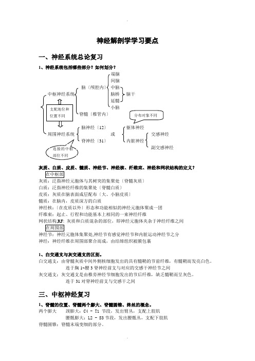 神经解剖学学习要点