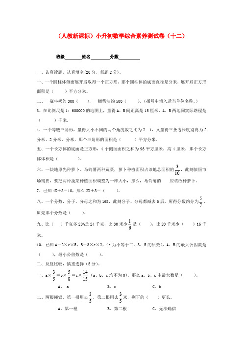 六年级数学小升初综合素养测试卷十二无答案人教新课标版