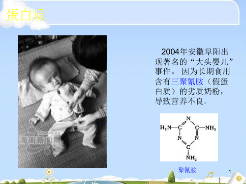 高中生物人教新课标版_必修1一、细胞的分子组成第二节蛋白质  (共34张PPT)