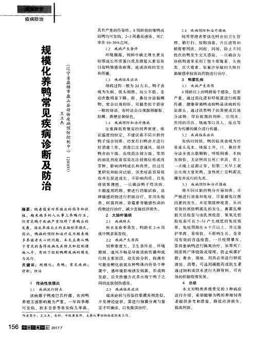 规模化养鸭常见疾病诊断及防治