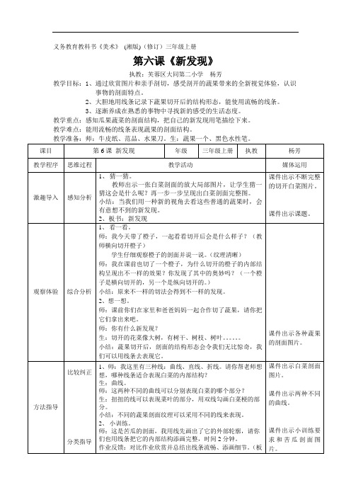 《新发现》教案——杨芳