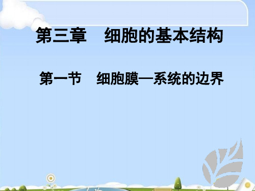 人教版高中生物必修一第3章第1节细胞膜——系统的边界  课件(共30张PPT)