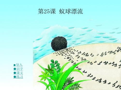 25蚁球漂流(3)