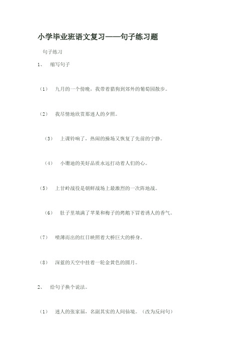 小学毕业班语文复习——句子练习题