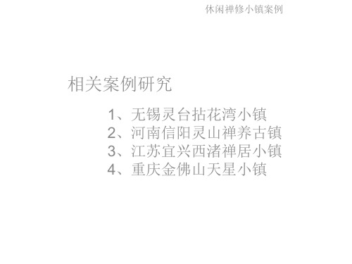 休闲禅修小镇案例1