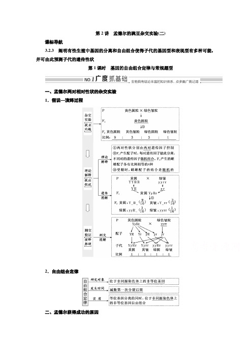 高三新高考生物人教版一轮学案必修二第一单元第2讲第1课时基因的自由组合定律与常规题型