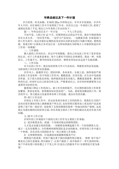 年终总结以及下一年计划