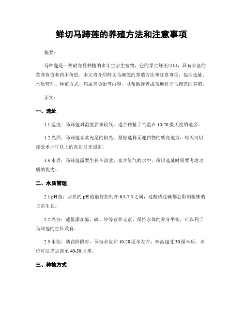 鲜切马蹄莲的养殖方法和注意事项