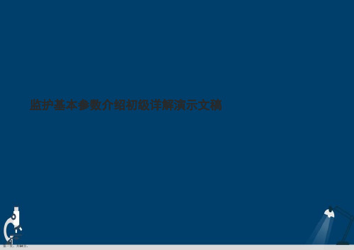 监护基本参数介绍初级详解演示文稿