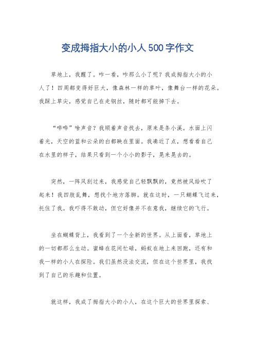 变成拇指大小的小人500字作文