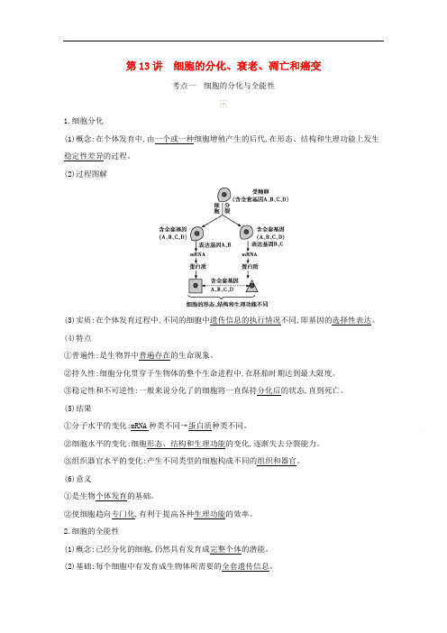 2021高考生物一轮复习新人教版教案：第四单元细胞的生命历程第13讲细胞的分化衰老凋亡和癌变