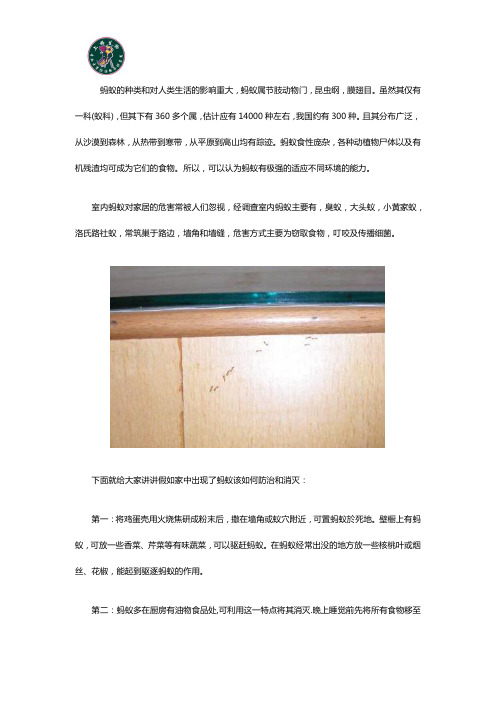 上海专业公司告诉你消灭白蚁的靠谱方法