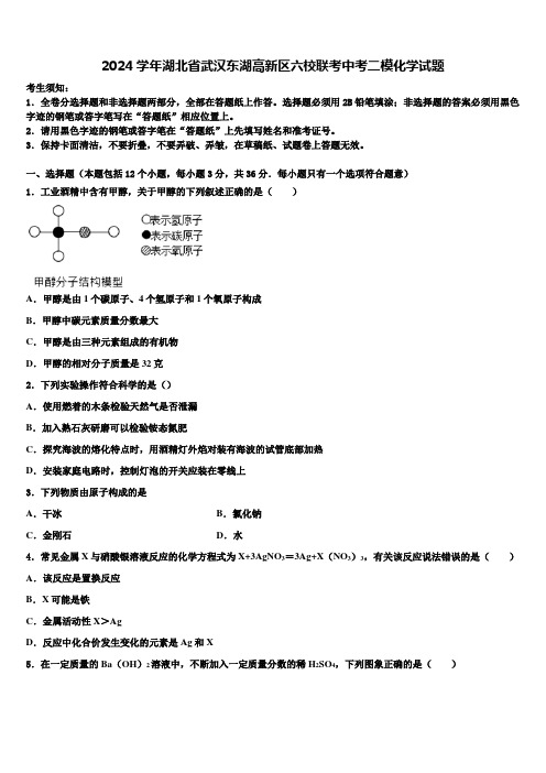 2024届湖北省武汉东湖高新区六校联考中考二模化学试题含解析