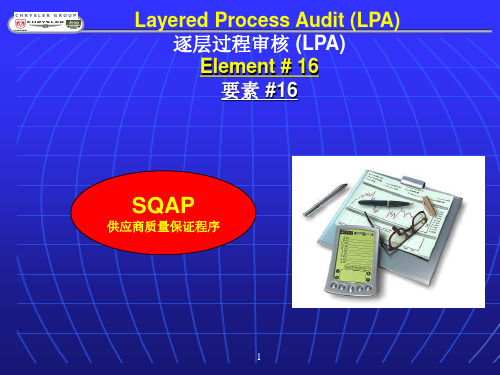 LPA 培训资料PPT精选文档