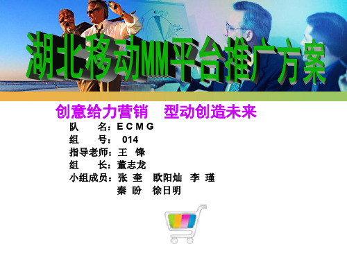 湖北移动MM平台推广方案