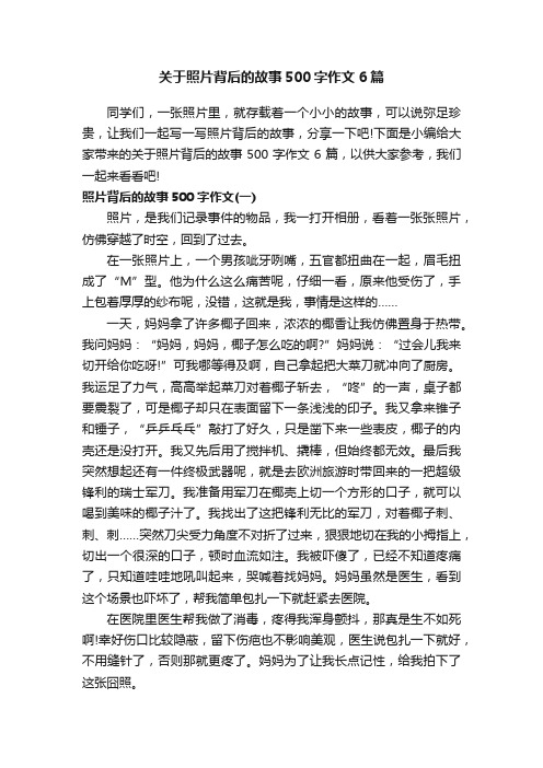 关于照片背后的故事500字作文6篇