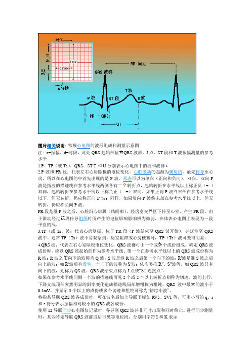 心电图波形