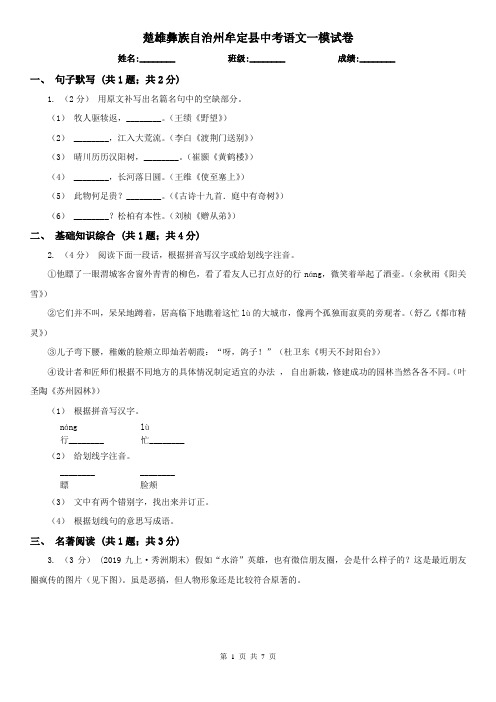 楚雄彝族自治州牟定县中考语文一模试卷