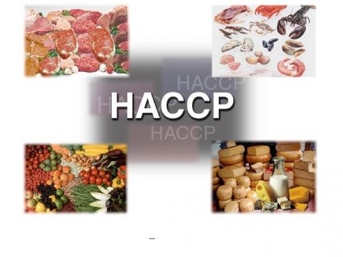 HACCP 演示文稿