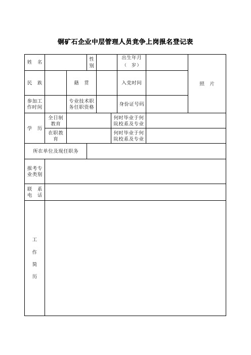 铜业公司高层管理岗位竞争上岗报名登记表