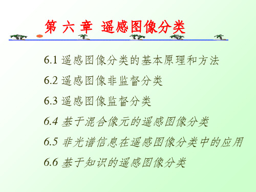 遥感图像目视分类PPT课件