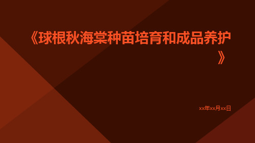 球根秋海棠种苗培育和成品养护