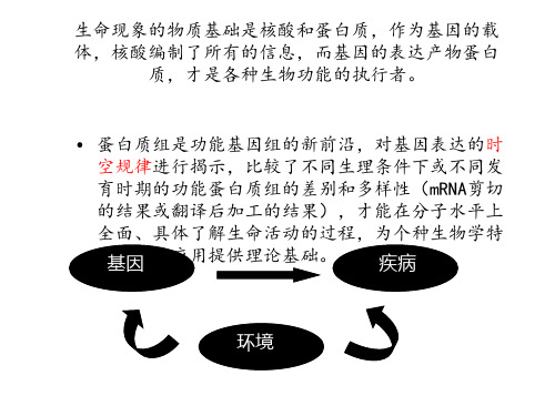 蛋白质组学PPT课件