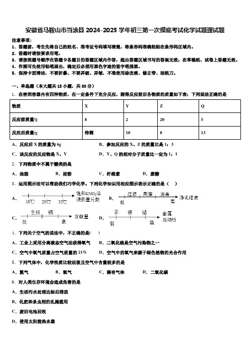 安徽省马鞍山市当涂县2024-2025学年初三第一次摸底考试化学试题理试题含解析