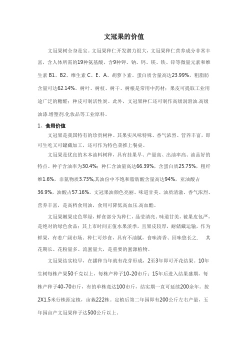 文冠果的价值