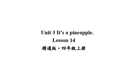 人教精通版四年级上册英语Unit 3 It's a pineapple Lesson 14公开课课件