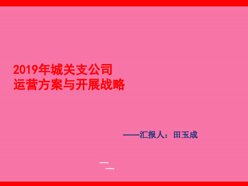 保险公司个险经营计划与发展策略页ppt课件