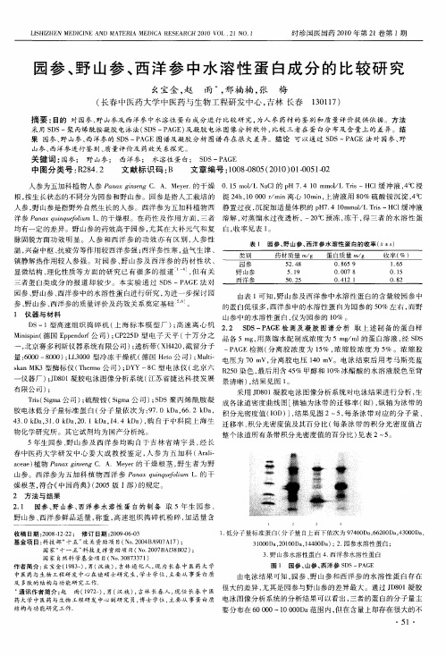 园参、野山参、西洋参中水溶性蛋白成分的比较研究